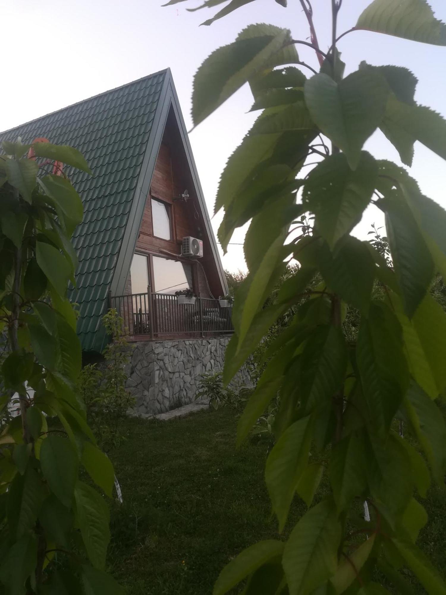 Banjska Brvnara Villa Vrnjacka Banja Exterior photo